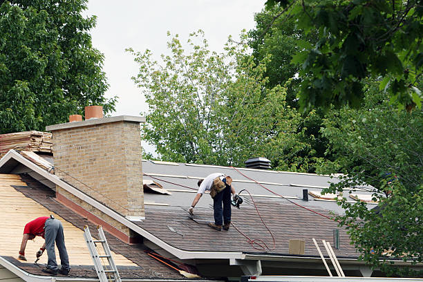 Roof Gutter Cleaning in Chehalis, WA
